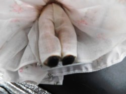 na 90 bisque pink feather legs
